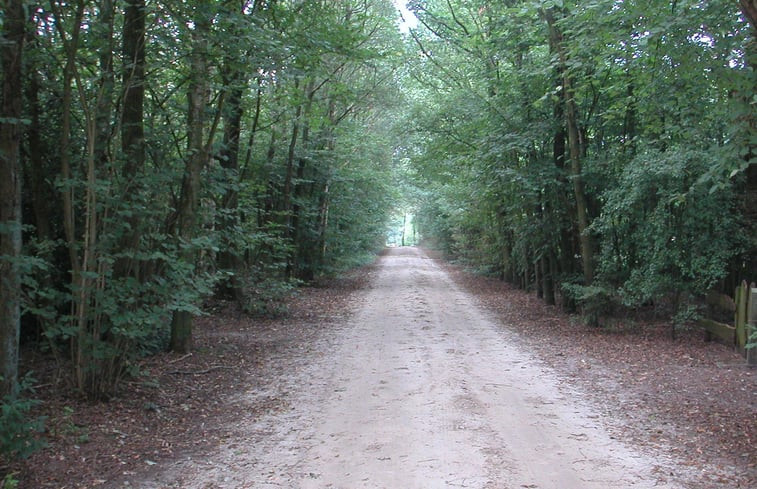 Natuurhuisje in Gieten