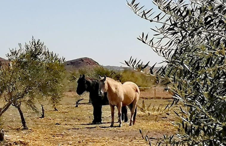 Natuurhuisje in Tabernas