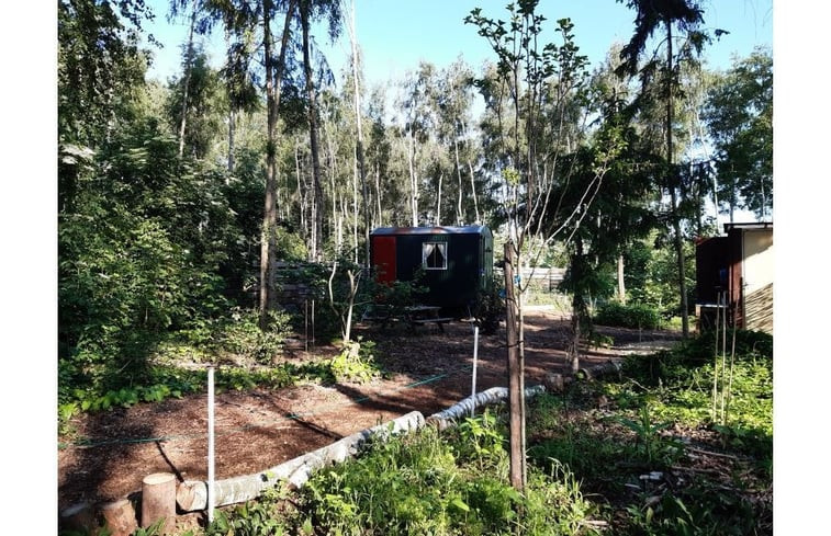 Natuurhuisje in Nederweert Eind