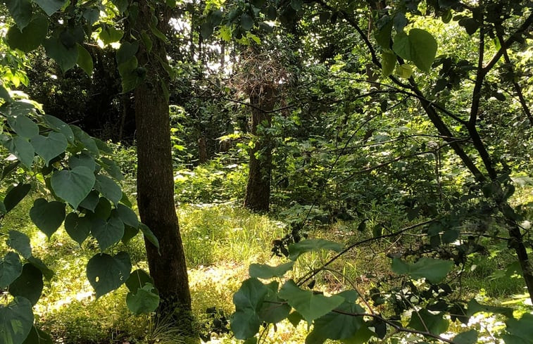 Natuurhuisje in Baexem - Limburg