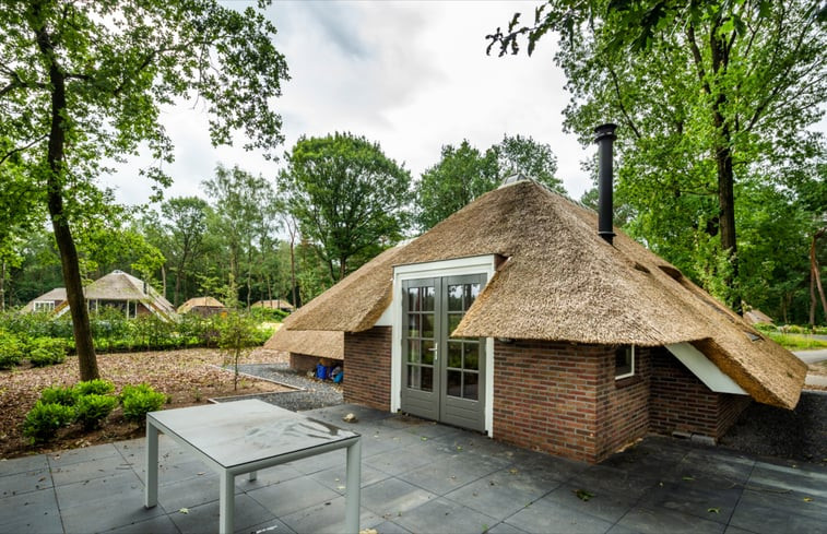 Natuurhuisje in Putten