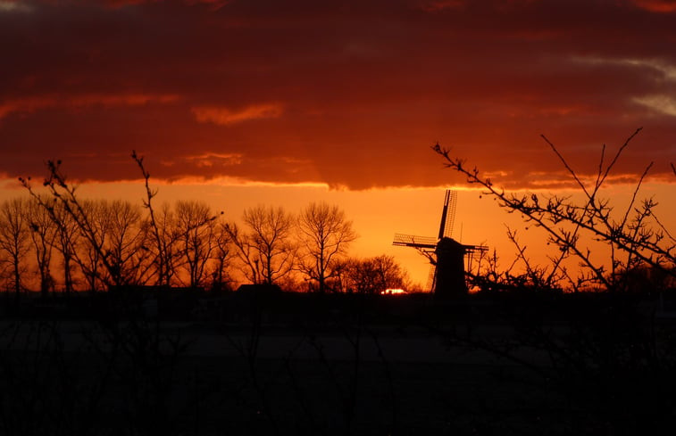 Natuurhuisje in Zonnemaire