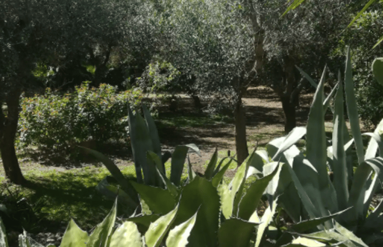 Natuurhuisje in Lizzanello LE, Italia