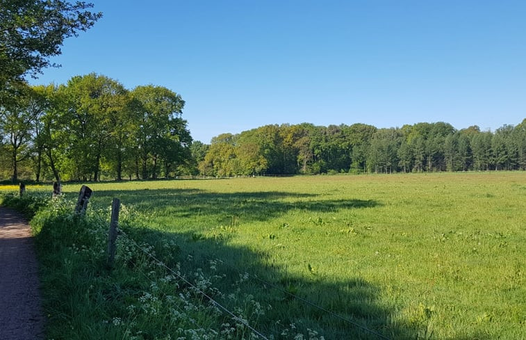 Natuurhuisje in de Lutte