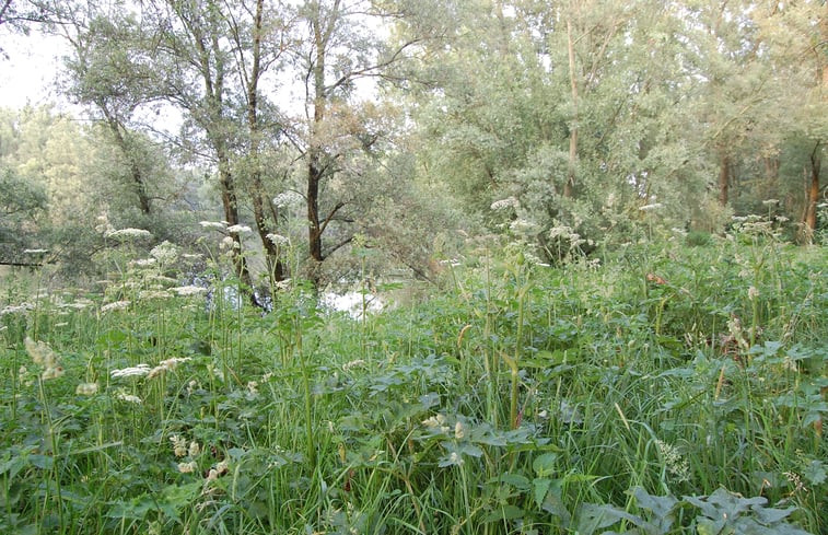 Natuurhuisje in Dreumel