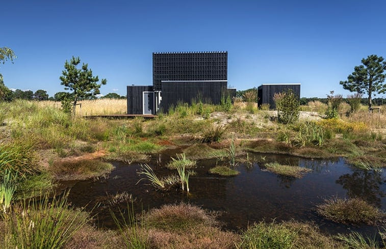 Natuurhuisje in Wapserveen