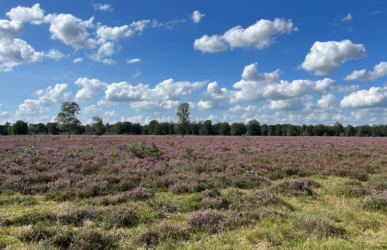 Natuurhuisje in Eeserveen