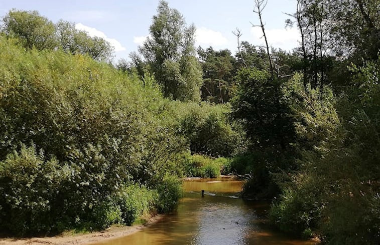 Natuurhuisje in de Lutte