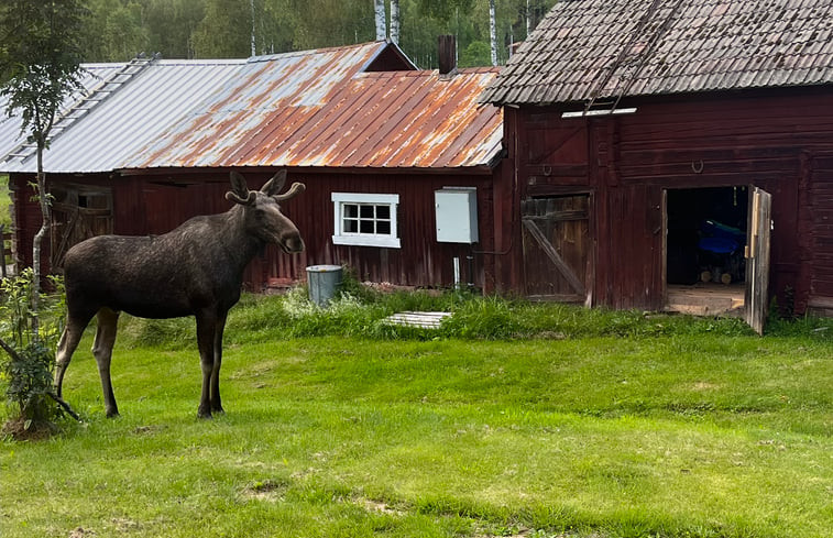 Natuurhuisje in Vadjetorp, Torsby