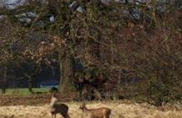 Natuurhuisje in Bergentheim