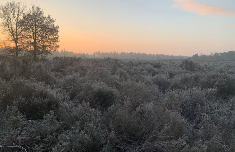 Natuurhuisje in Ossendrecht