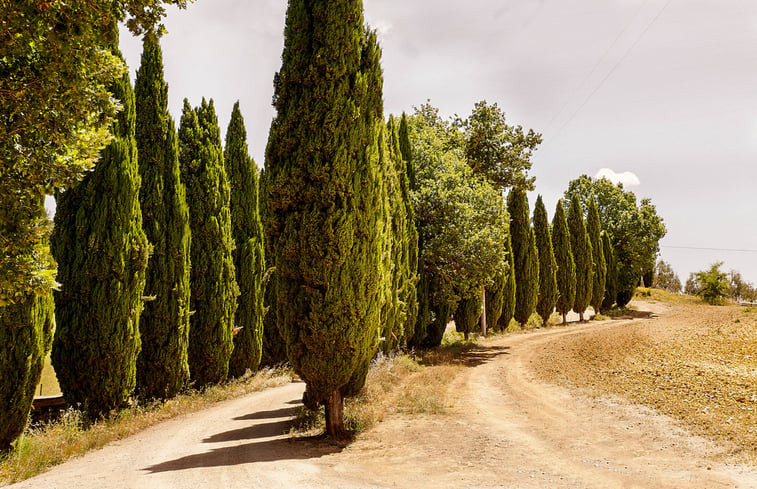 Natuurhuisje in Siena