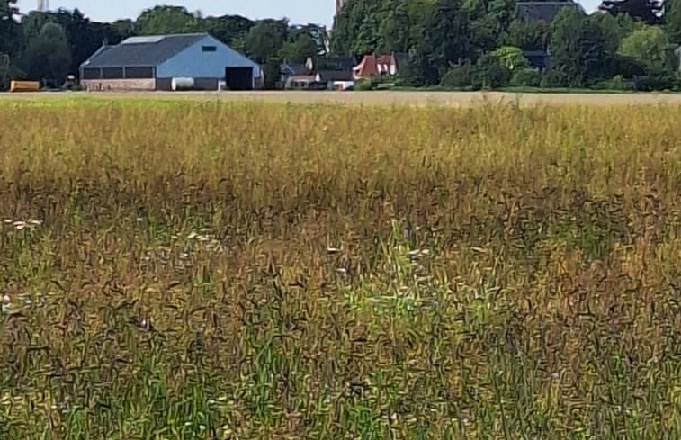 Natuurhuisje in Finsterwolde