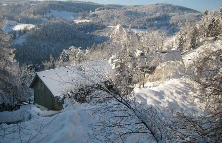 Natuurhuisje in Triberg