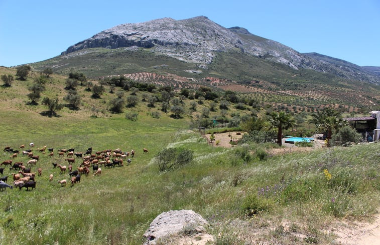 Natuurhuisje in Valle de Abdalajis